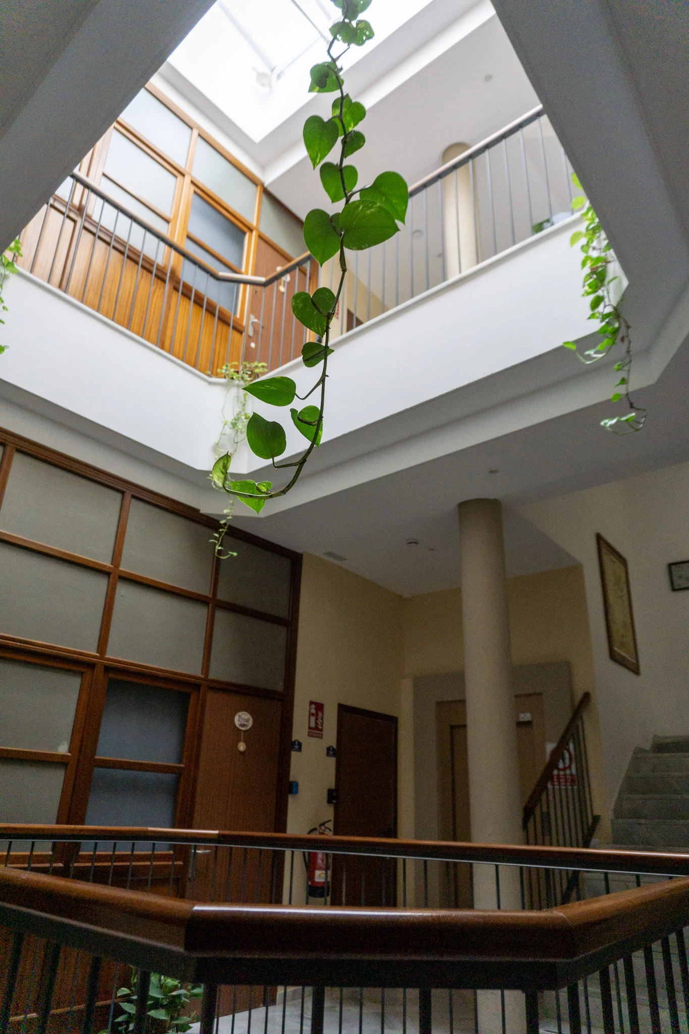 sky light illuminating the lobby